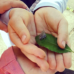 I bambini incontrano la natura e imparano a rispettare tutti gli esseri viventi - Giardino d'Infanzia Imola